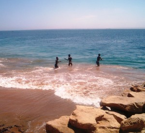 Namibe<br><span class="cc-link"><a href="http://www.flickr.com/photos/ajardim3/363082629/in/photostream/" target="_blank">Autor:Princessa-do-namibe</a><a href='http://creativecommons.org/licences/by-nd/3.0'>&nbsp;<img class="cc-icon" src="mods/_img/cc_by_nd-small.png"></a></a></span>
