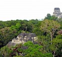 <span class='dscr'>Park Narodowy Tikal</span><br><span class="cc-link"><a href="http://www.flickr.com/photos/archer10/2214575154/" target="_blank">Autor:Dennis Jarvis</a><a href='http://creativecommons.org/licences/by-sa/3.0'>&nbsp;<img class="cc-icon" src="mods/_img/cc_by_sa-small.png"></a></a></span>