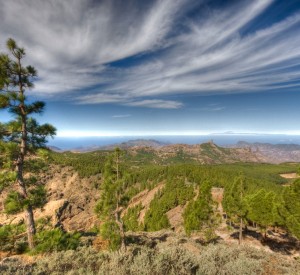 Gran Canaria<br><span class="cc-link"><a href="http://www.flickr.com/photos/azuaje/4987263447/" target="_blank">Autor:Juan Ramos Rodriguez Sosa</a><a href='http://creativecommons.org/licences/by-sa/3.0'>&nbsp;<img class="cc-icon" src="mods/_img/cc_by_sa-small.png"></a></a></span>
