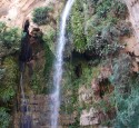 <span class='dscr'>Park Narodowy Ein Gedi</span><br><span class="cc-link"><a href="http://www.flickr.com/photos/chadica/2958272448/" target="_blank">Autor:Chadica</a><a href='http://creativecommons.org/licences/by/3.0'>&nbsp;<img class="cc-icon" src="mods/_img/cc_by-small.png"></a></a></span>