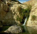 <span class='dscr'>Park Narodowy Ein Gedi</span><br><span class="cc-link"><a href="http://www.flickr.com/photos/banna123456/2239133705/" target="_blank">Autor:Hannah Rosen</a><a href='http://creativecommons.org/licences/by/3.0'>&nbsp;<img class="cc-icon" src="mods/_img/cc_by-small.png"></a></a></span>