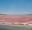 <span class='dscr'>Jezioro Magadi</span><br><span class="cc-link"><a href="http://www.flickr.com/photos/orgel/2213755862/" target="_blank">Autor:David Orgel</a><a href='http://creativecommons.org/licences/by-sa/3.0'>&nbsp;<img class="cc-icon" src="mods/_img/cc_by_sa-small.png"></a></a></span>