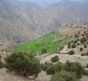 <span class='dscr'>Gospodarstwa należące do mieszkańców niegościnnych stoków marokańskich gór- Berberów.</span><br><span class="cc-link">Autor: Jan Ignacy Czempiński</span>