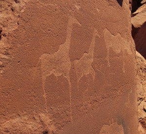 Twyfelfontein<br><span class="cc-link"><a href="http://www.flickr.com/photos/sara_joachim/3037448455/" target="_blank">Autor:Joachim Huber</a><a href='http://creativecommons.org/licences/by-sa/3.0'>&nbsp;<img class="cc-icon" src="mods/_img/cc_by_sa-small.png"></a></a></span>