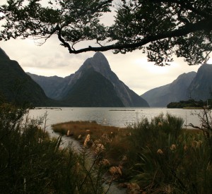 Park Narodowy Fiordland, należący do "Te Wahipounamu" <br><span class="cc-link"><a href="http://www.flickr.com/photos/wanderlust02/3381401470/" target="_blank">Autor:Wanderstuck</a><a href='http://creativecommons.org/licences/by-nd/3.0'>&nbsp;<img class="cc-icon" src="mods/_img/cc_by_nd-small.png"></a></a></span>