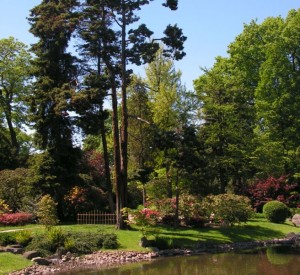 Ogród japoński we Wrocławiu<br><span class="cc-link"><a href="http://commons.wikimedia.org/wiki/File:Japanese_garden_Wroclaw_trees.jpg" target="_blank">Autor:Puchatech K.</a><a href='http://creativecommons.org/licences/by-sa/3.0'>&nbsp;<img class="cc-icon" src="mods/_img/cc_by_sa-small.png"></a></a></span>