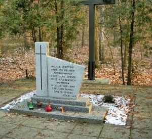 Mogiły ofiar II wojny światowej w Kolonce w rezerwacie Jedlnia<br><span class="cc-link">Autor: Łukasz Smolarczyk</span>