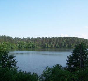Widok z Kanału Sicieńskiego na północno-wschodni brzeg jeziora Ostrowieckiego, na Kłocie Ostrowieckie<br><span class="cc-link"><a href="http://commons.wikimedia.org/wiki/File:Drawienski_Park_Narodowy_-_jezioro_Ostrowieckie_1.jpg" target="_blank">Autor:NH2501</a><a href='http://creativecommons.org/licences/by-sa/3.0'>&nbsp;<img class="cc-icon" src="mods/_img/cc_by_sa-small.png"></a></a></span>